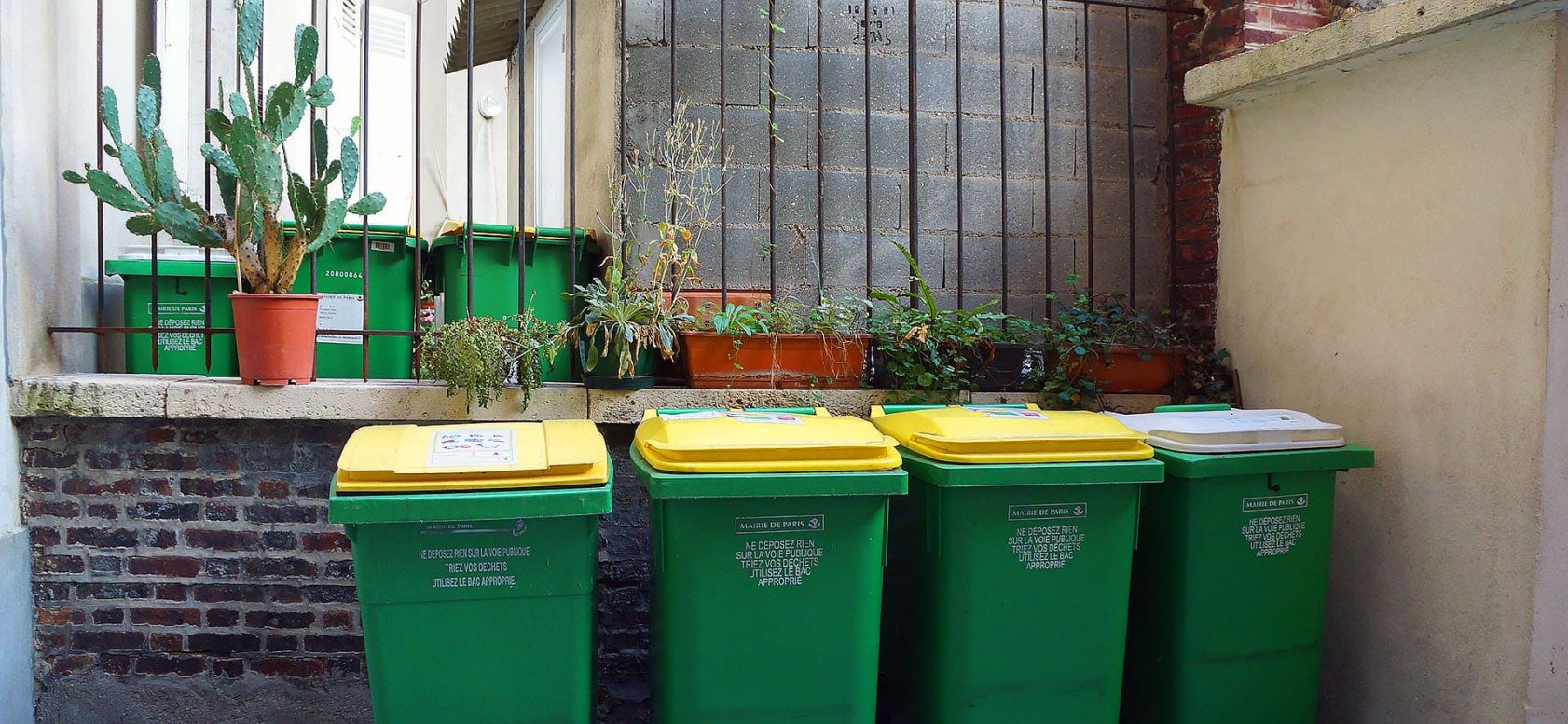 photo poubelles